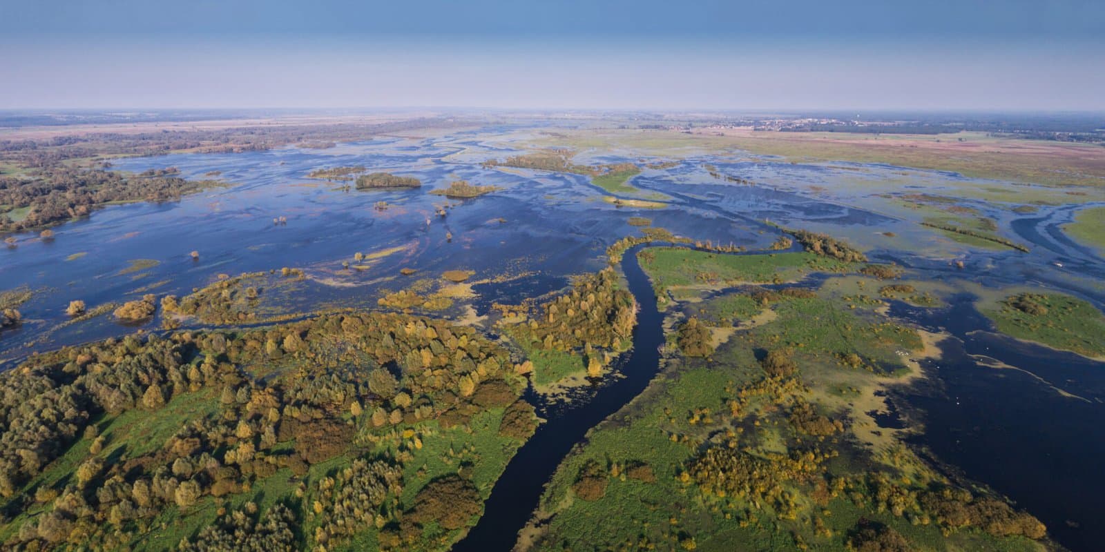 What Are Wetlands
