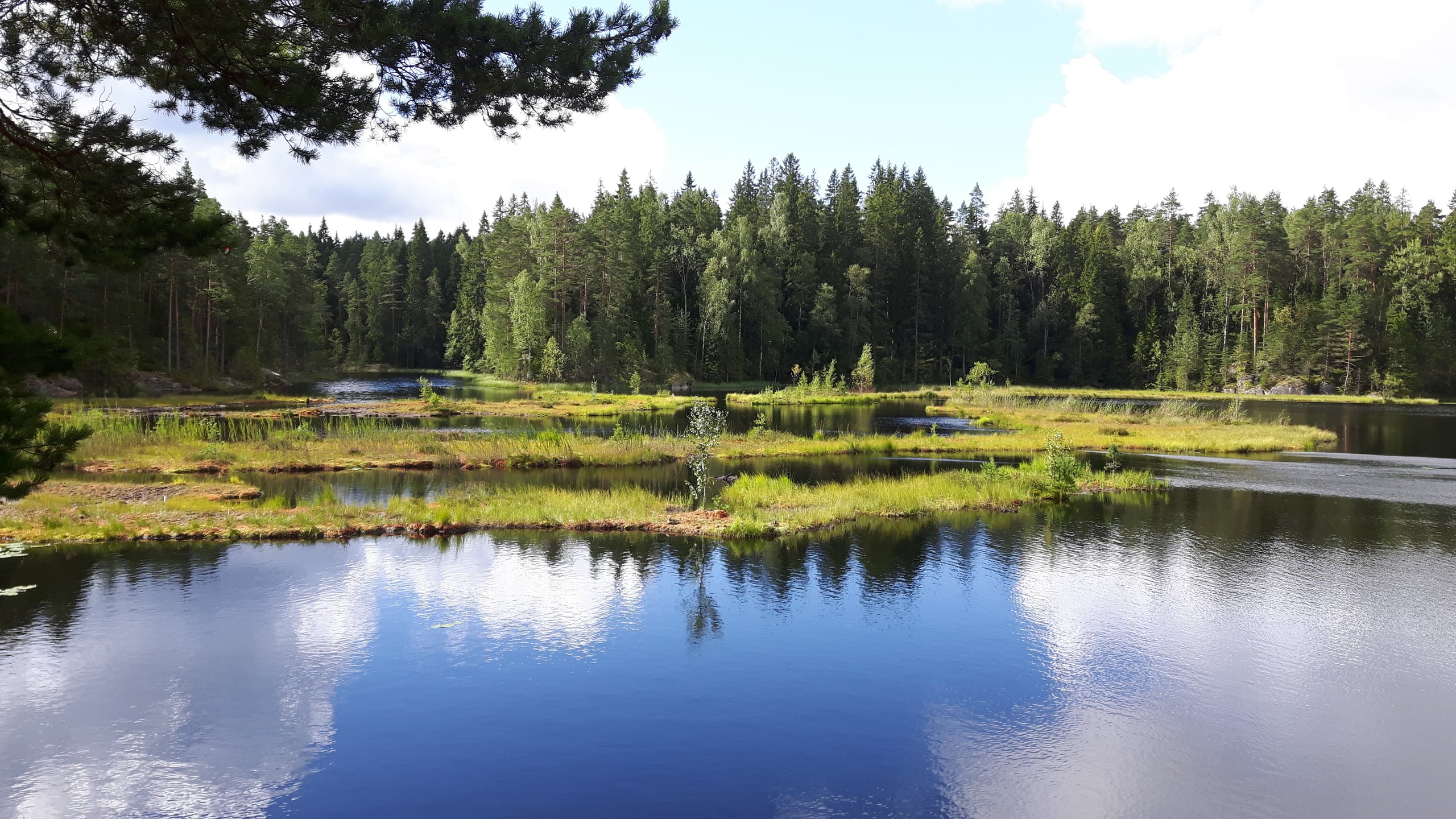 Floating treatment wetland installation